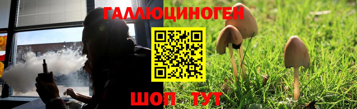 Псилоцибиновые грибы мицелий Сорочинск