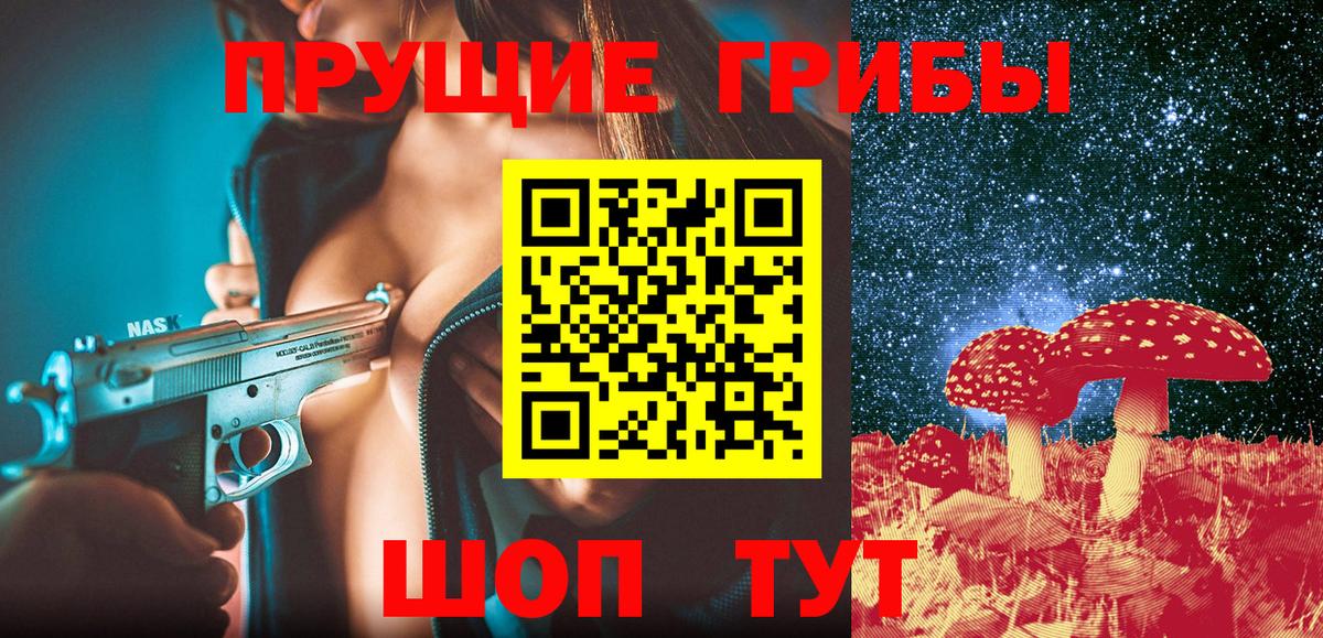 Сорочинск  Галлюциногенные грибы Psilocybine cubensis  Вход с VPN 